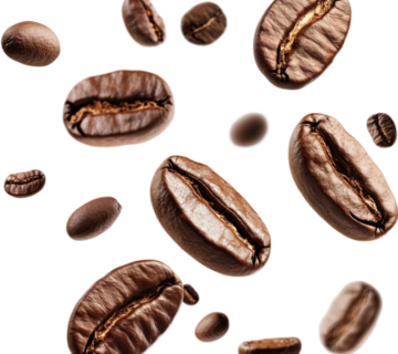 Bean 360x320