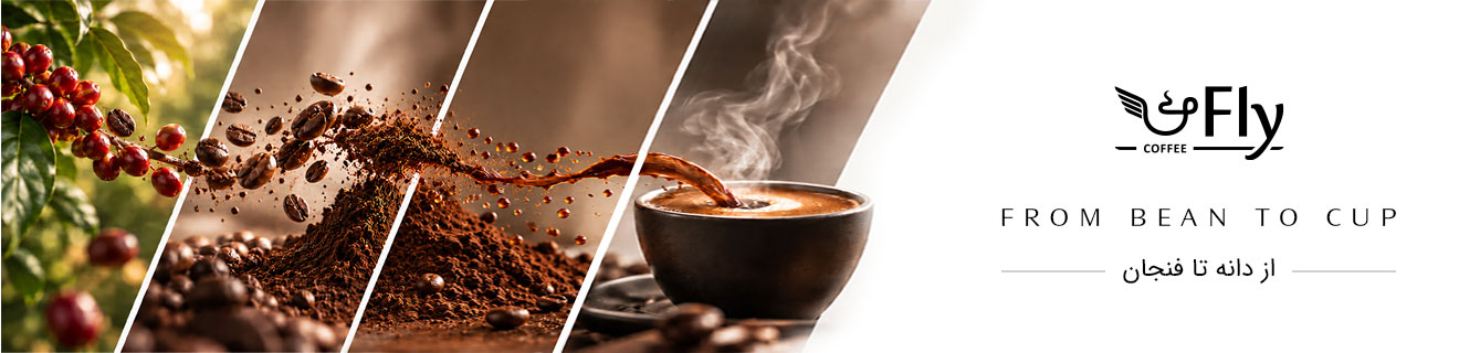 From bean to cup